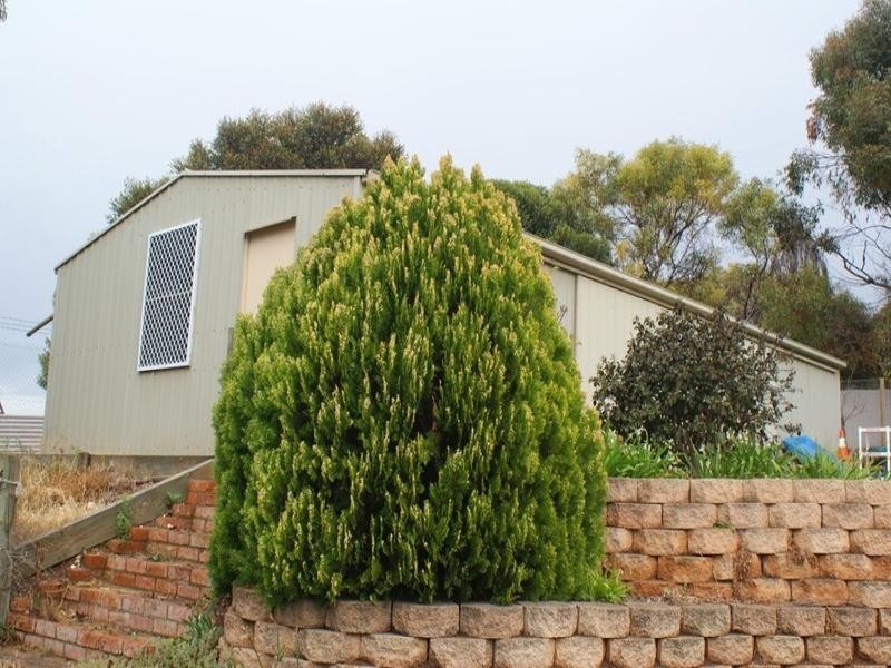 10 Redgum Court, Murray Bridge SA 5253