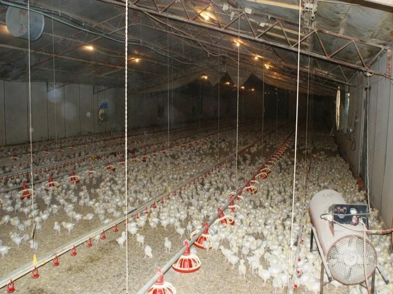 Lts 61-63 Rocky Gully Road, Murray Bridge SA 5253