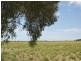 Lot 50 Kepa Road, Murray Bridge SA 5254