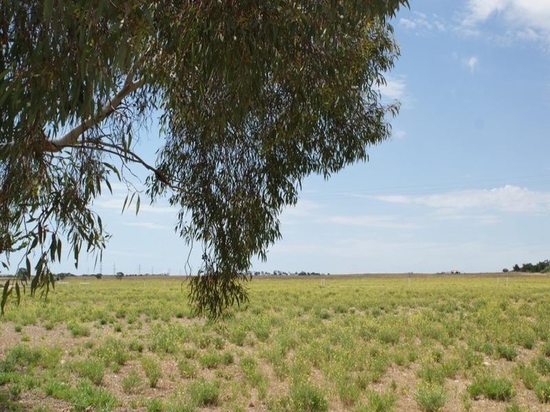 Lot 50 Kepa Road, Murray Bridge SA 5254