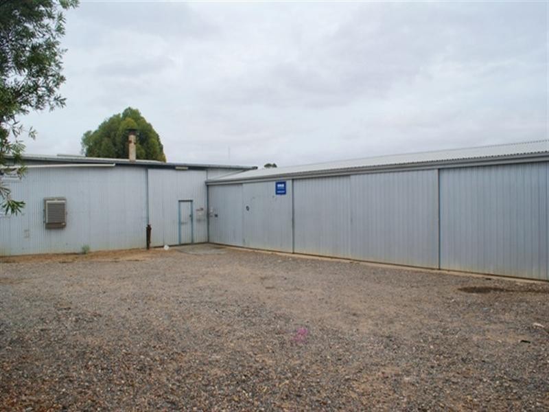 13 Alma Avenue, Murray Bridge SA 5253