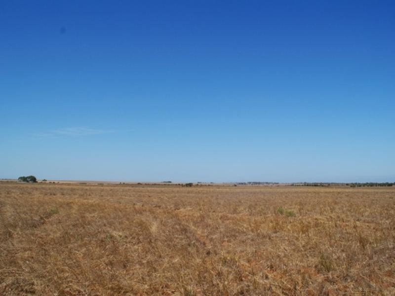 Lots 56 and 57 Langhorne Creek Wellington Road, Murray Bridge SA 5253