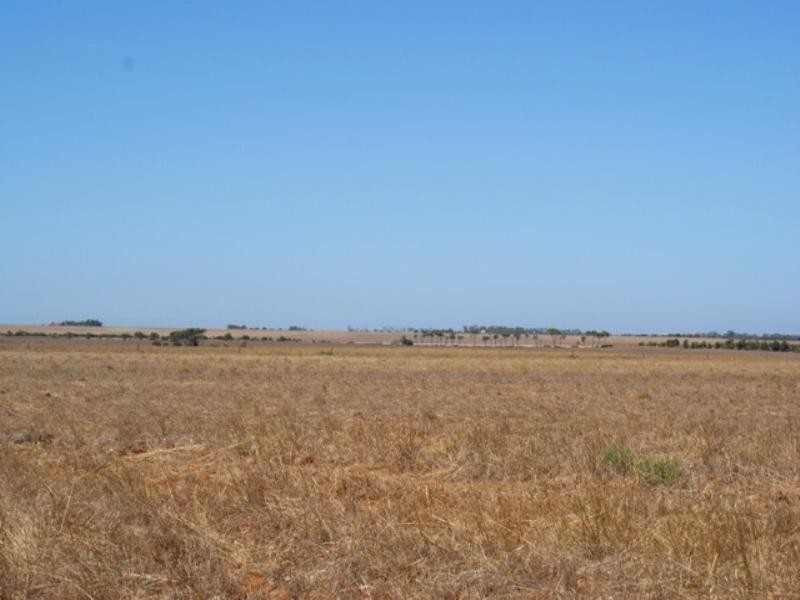 Lots 56 and 57 Langhorne Creek Wellington Road, Murray Bridge SA 5253