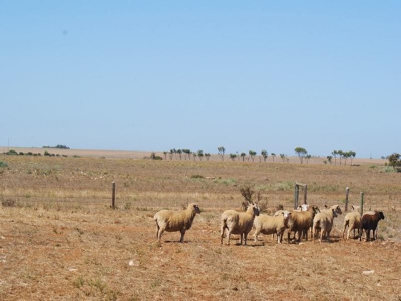 Lots 56 and 57 Langhorne Creek Wellington Road, Murray Bridge SA 5253