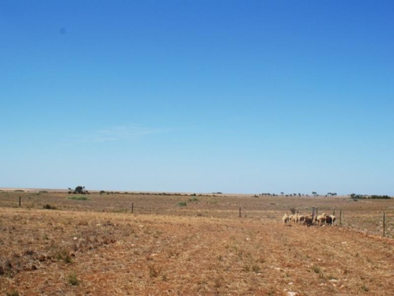 Lots 56 and 57 Langhorne Creek Wellington Road, Murray Bridge SA 5253