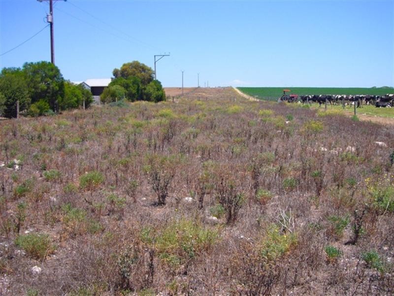 Lot 358 Jervois Road, Woods Point SA 5253