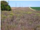 Lot 358 Jervois Road, Woods Point SA 5253
