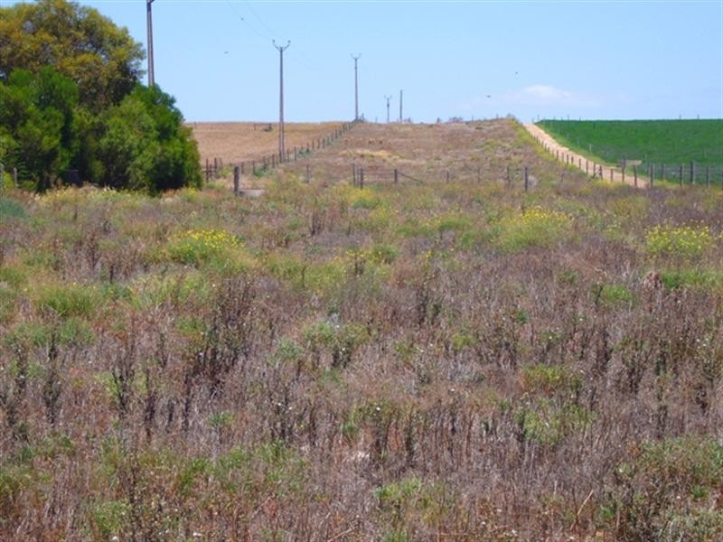 Lot 358 Jervois Road, Woods Point SA 5253