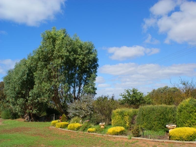 Section 778 Billabong Road, Mypolonga SA 5254