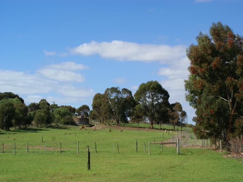 Section 778 Billabong Road, Mypolonga SA 5254