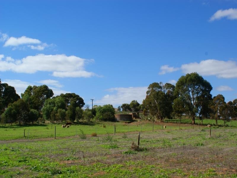 Section 778 Billabong Road, Mypolonga SA 5254