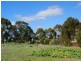 Section 778 Billabong Road, Mypolonga SA 5254