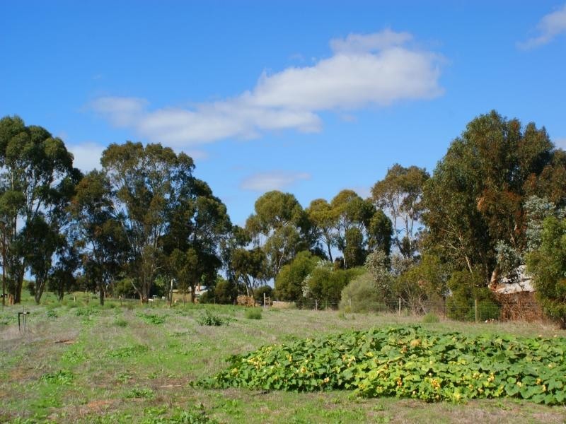 Section 778 Billabong Road, Mypolonga SA 5254