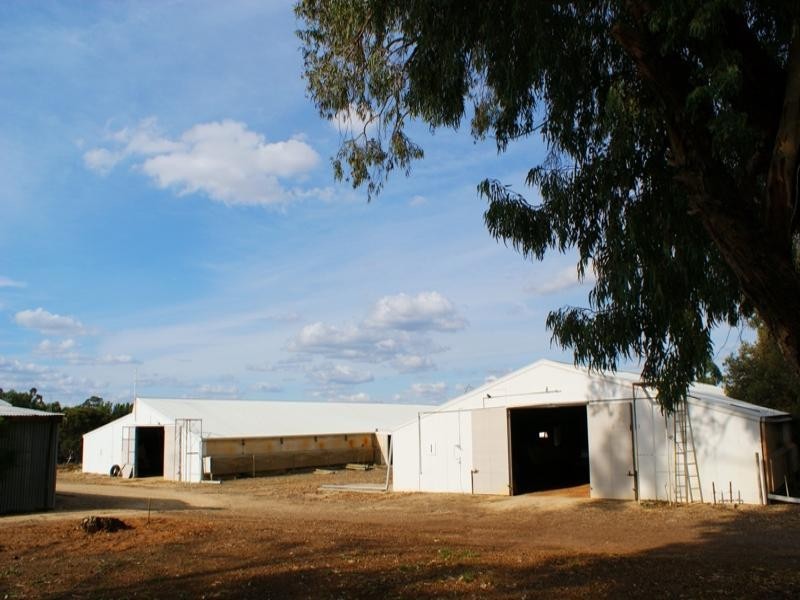 66 Mitchell Avenue, Murray Bridge SA 5253