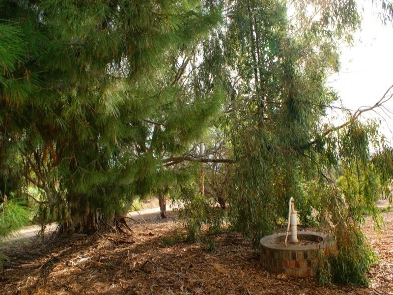 66 Mitchell Avenue, Murray Bridge SA 5253