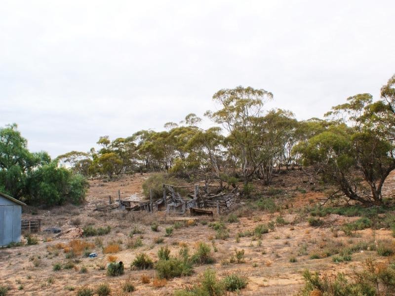 35C Black Hill Road, Black Hill SA 5353
