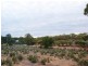35C Black Hill Road, Black Hill SA 5353