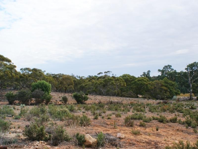 35C Black Hill Road, Black Hill SA 5353