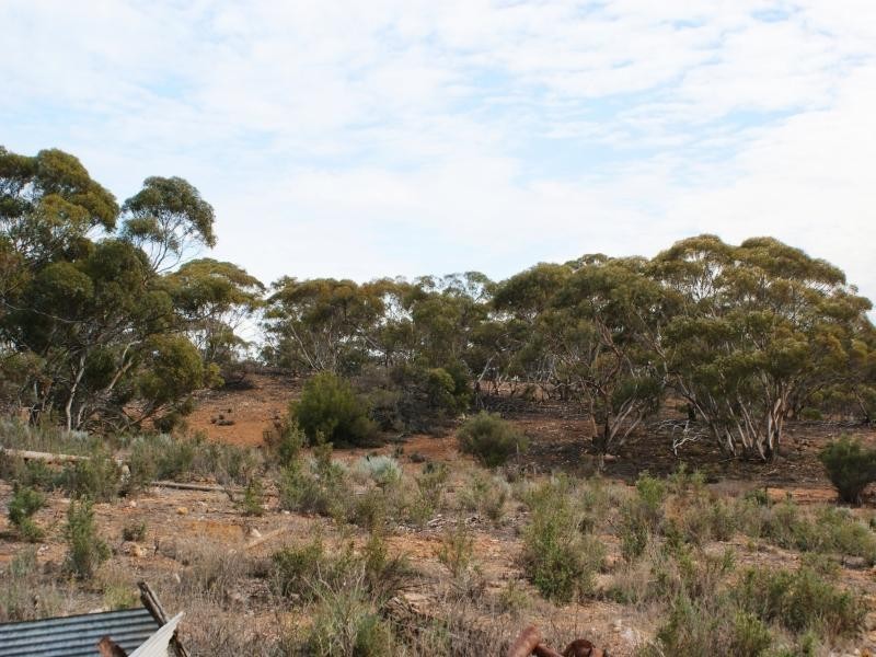 35C Black Hill Road, Black Hill SA 5353