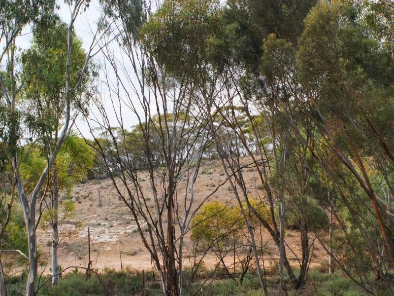 35C Black Hill Road, Black Hill SA 5353