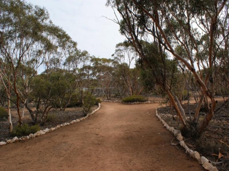 Lot 131 Codrington Road, Mannum SA 5238