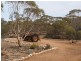 Lot 131 Codrington Road, Mannum SA 5238