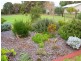3 Bungana Drive, Murray Bridge SA 5253