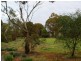 3 Bungana Drive, Murray Bridge SA 5253