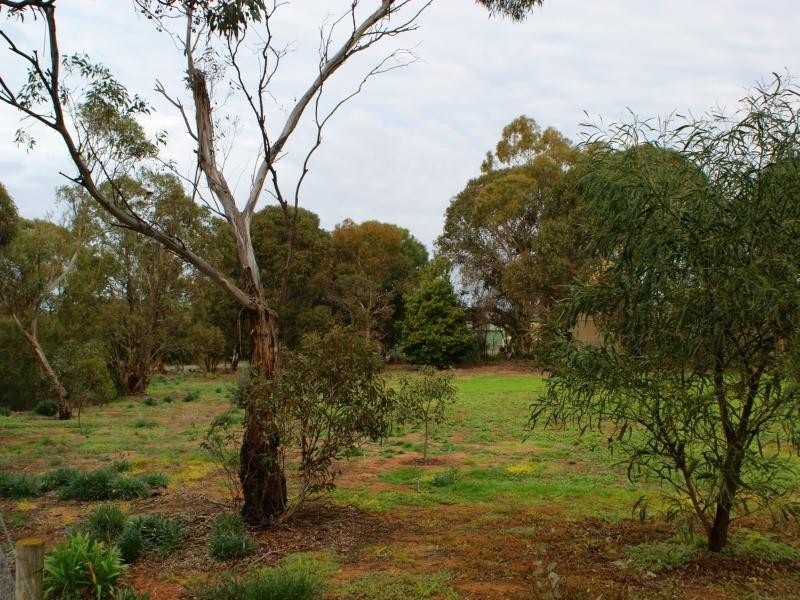 3 Bungana Drive, Murray Bridge SA 5253