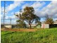 Lot 107 Woolshed Road, Mypolonga SA 5254