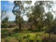 117 Murray Drive, Murray Bridge SA 5253