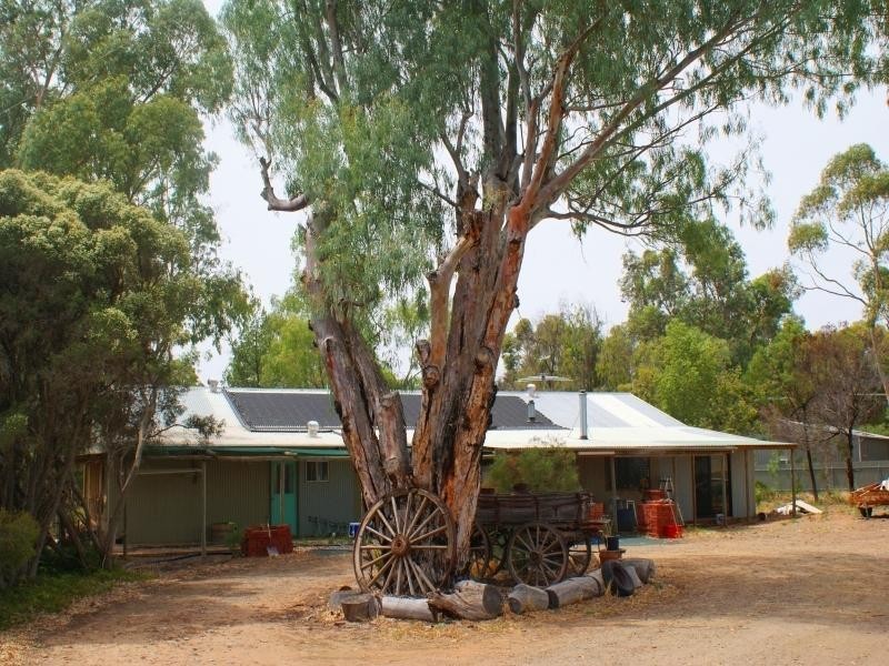 117 Murray Drive, Murray Bridge SA 5253