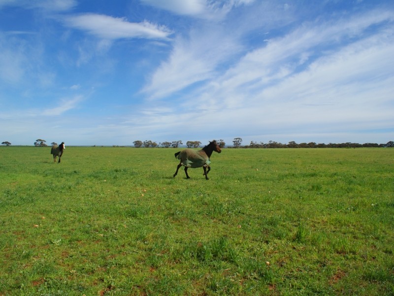 Section 714 Mypolonga Road, Mypolonga SA 5254