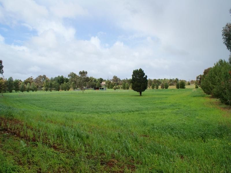 46 Rocky Gully Road, Murray Bridge SA 5253