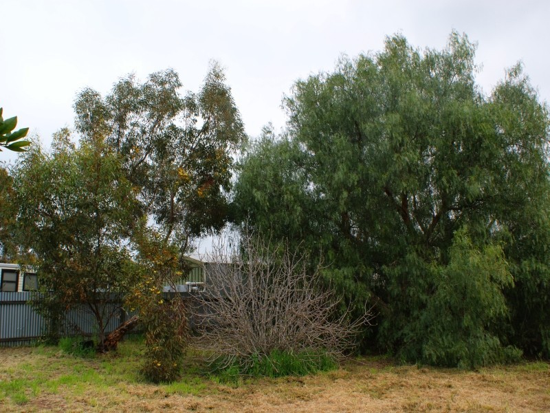 14 Elm Avenue, Murray Bridge SA 5253
