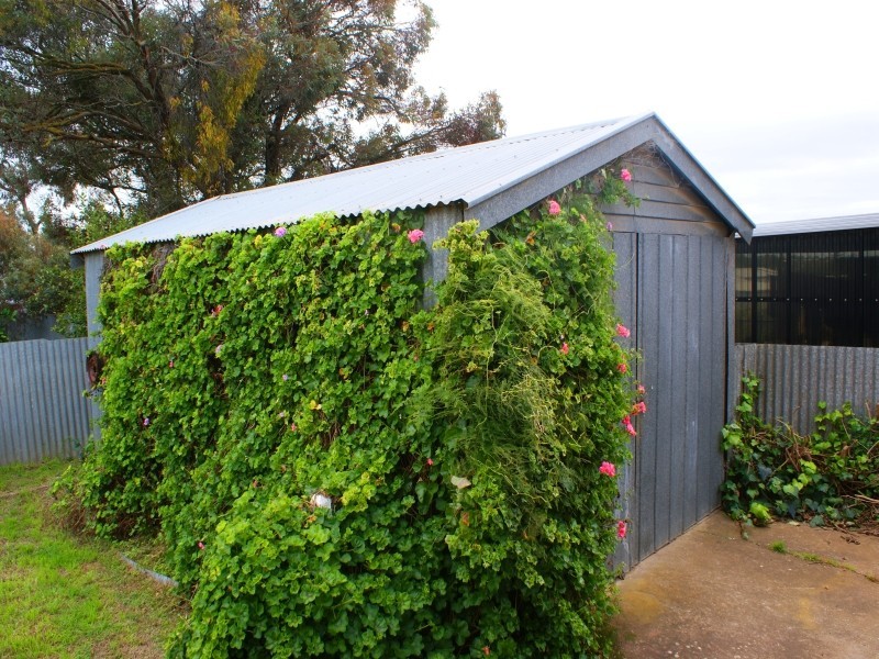14 Elm Avenue, Murray Bridge SA 5253
