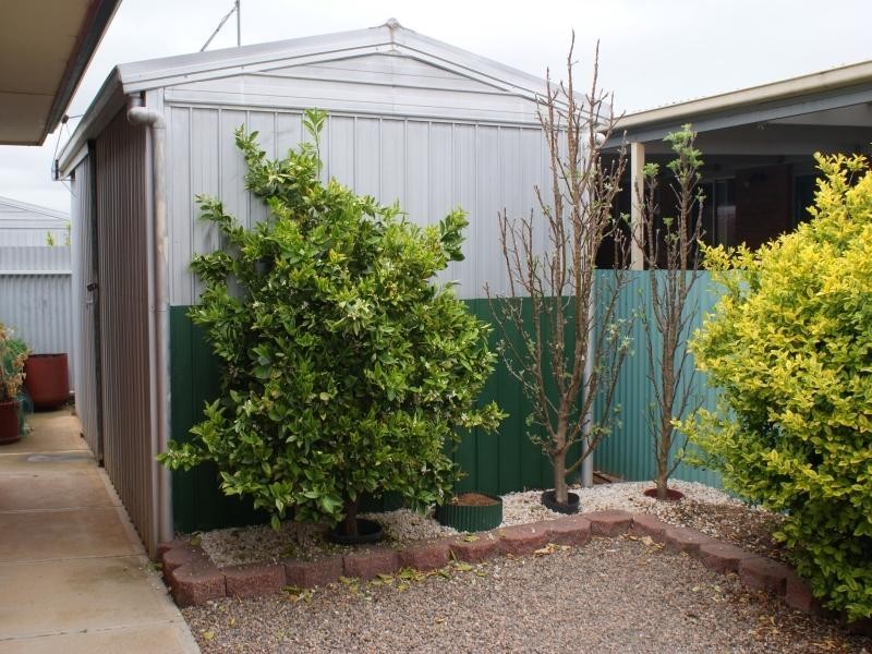 2B Frieda Street, Murray Bridge SA 5253