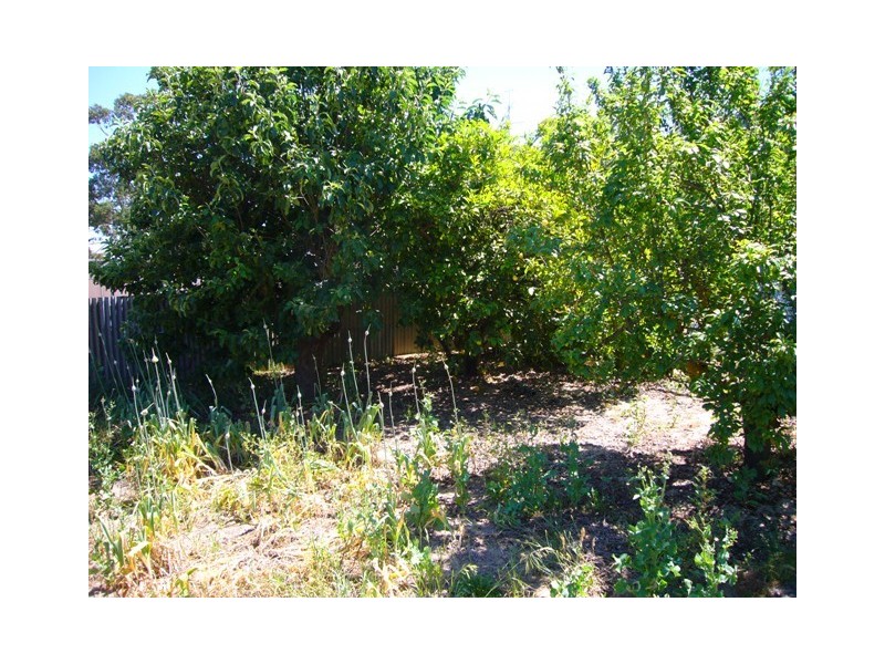 24 Railway Terrace, Coonalpyn SA 5265