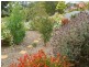 3 Rosella Court, Murray Bridge SA 5253