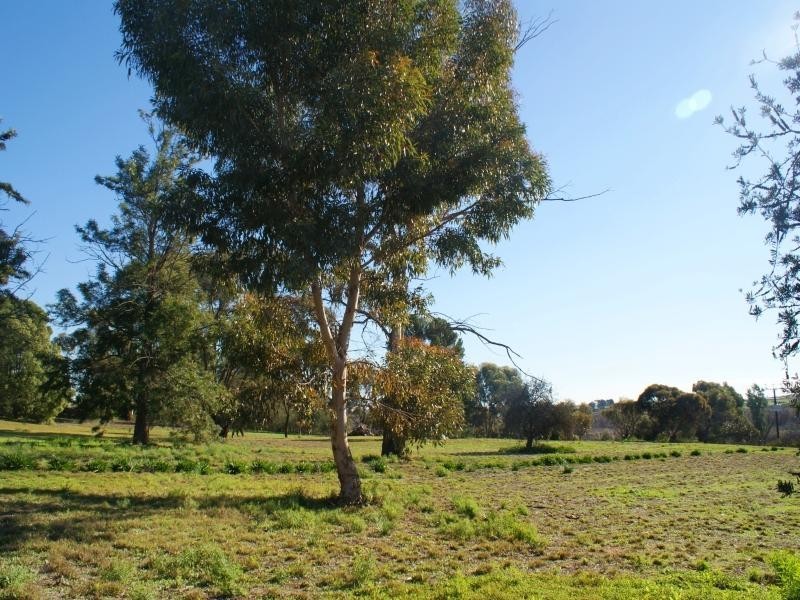 47 Murray Drive, Murray Bridge SA 5253