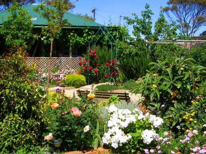 36 Melville Terrace, Murray Bridge SA 5253