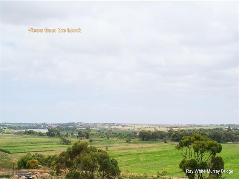 Section 92 Long Flat Road, Murray Bridge SA 5253