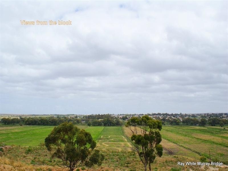 Section 92 Long Flat Road, Murray Bridge SA 5253