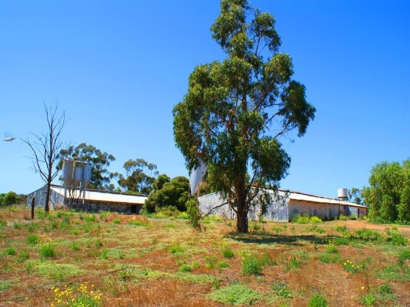Lot 122 Rocky Gully Road, Murray Bridge SA 5253