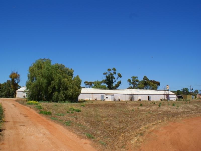 Lot 11 Rocky Gully Road, Murray Bridge SA 5253