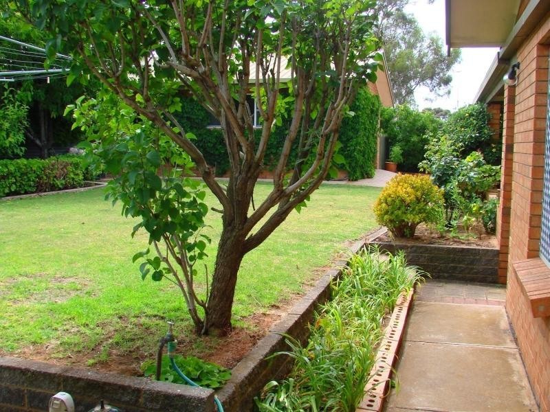 7 Roper Road, Murray Bridge SA 5253