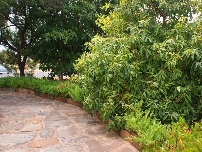 21 Long Island Road, Murray Bridge SA 5253