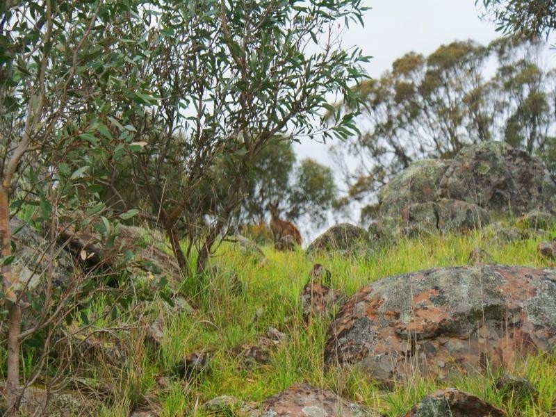 Sec 415 Bondleigh Road, Rockleigh SA 5254