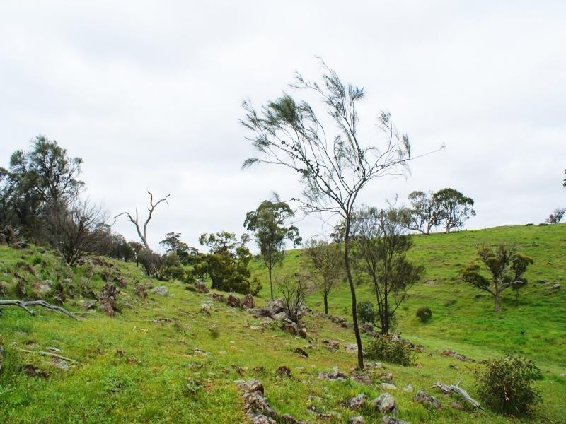 Sec 415 Bondleigh Road, Rockleigh SA 5254