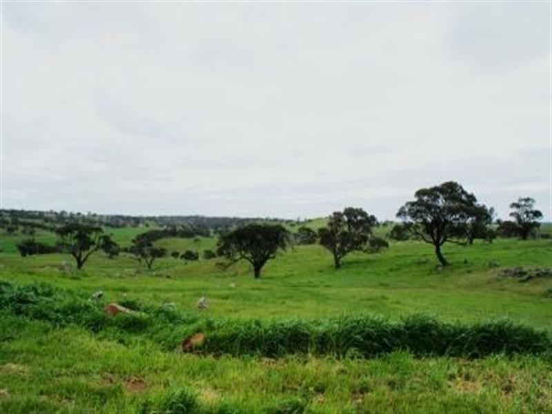 Sec. 415 Bondleigh Road, Rockleigh SA 5254